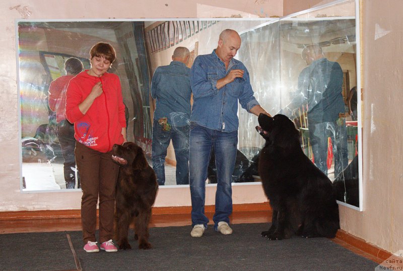 Фотография № 186088