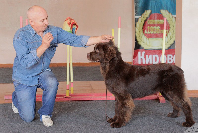 Фотография № 186091