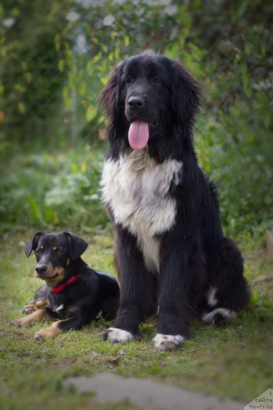 Фотография № 186120