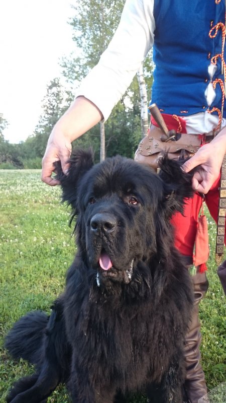 Фотография № 186126