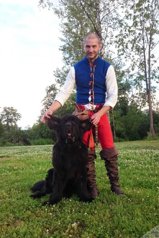 Фотография № 186169