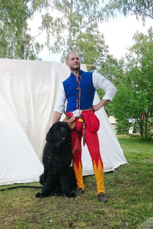 Фотография № 186170