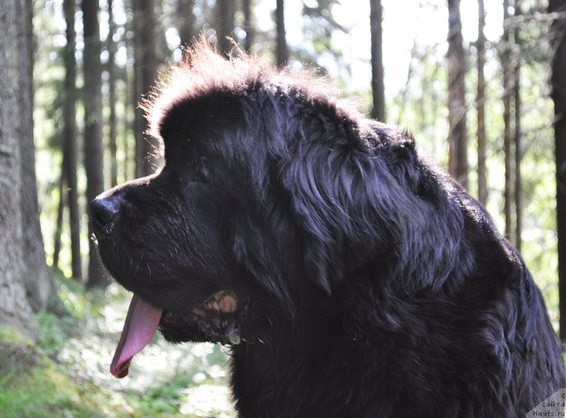 Фотография № 186200