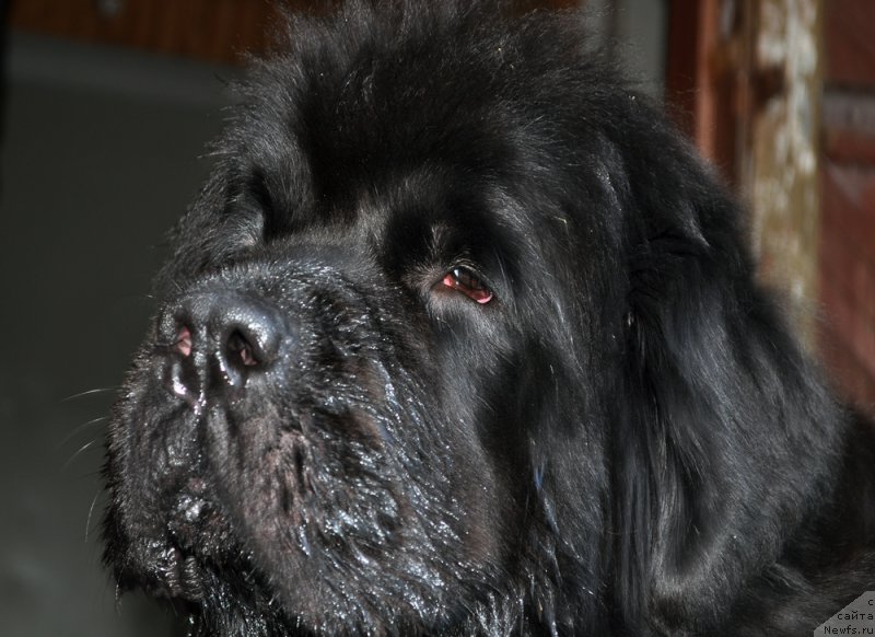 Фотография № 186203