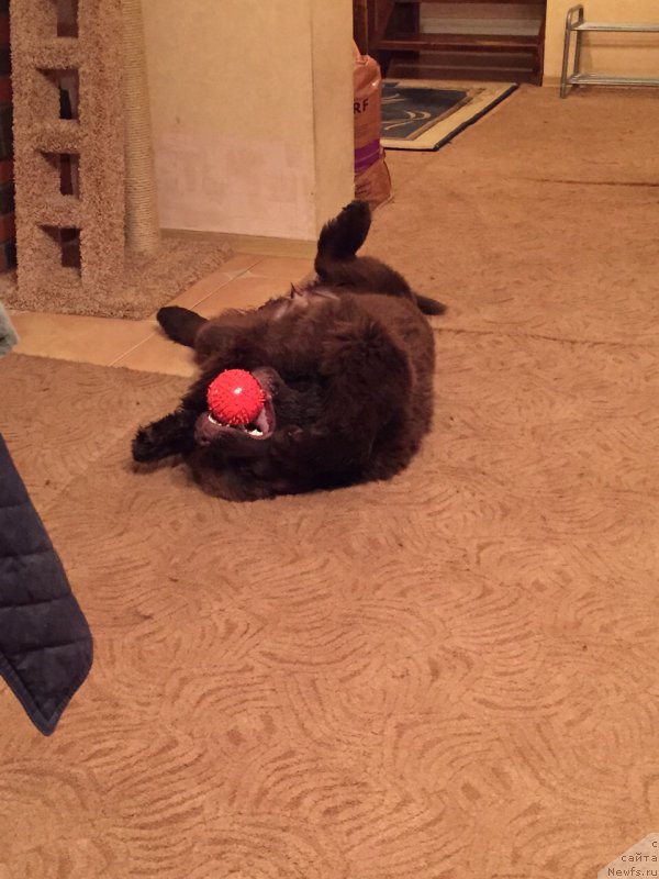 Фотография № 186206