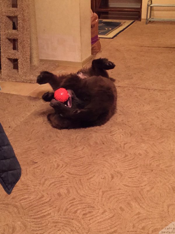 Фотография № 186208