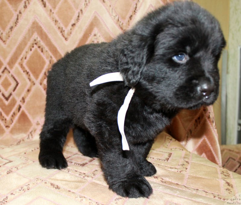 Фотография № 186222