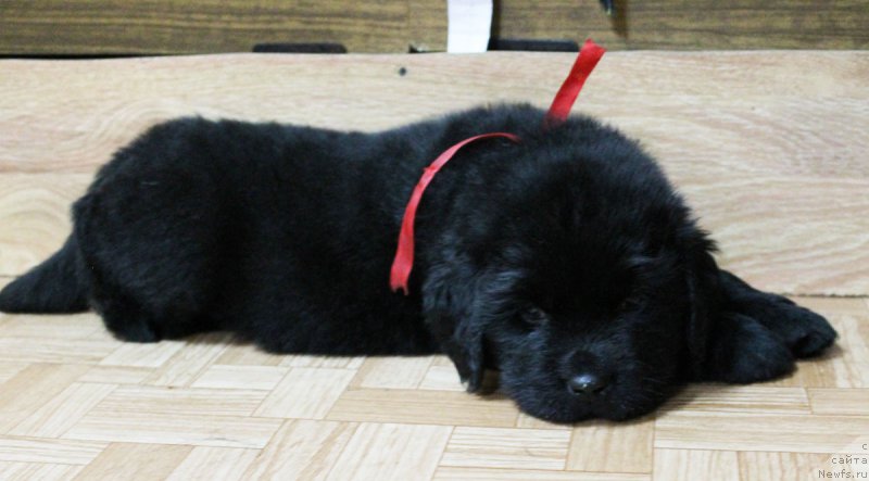 Фотография № 186228