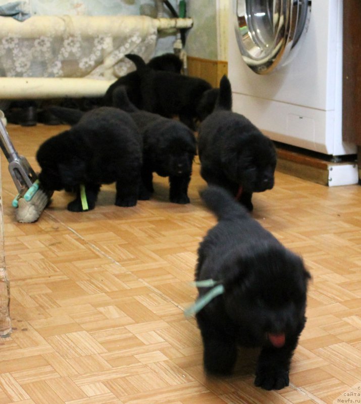 Фотография № 186231