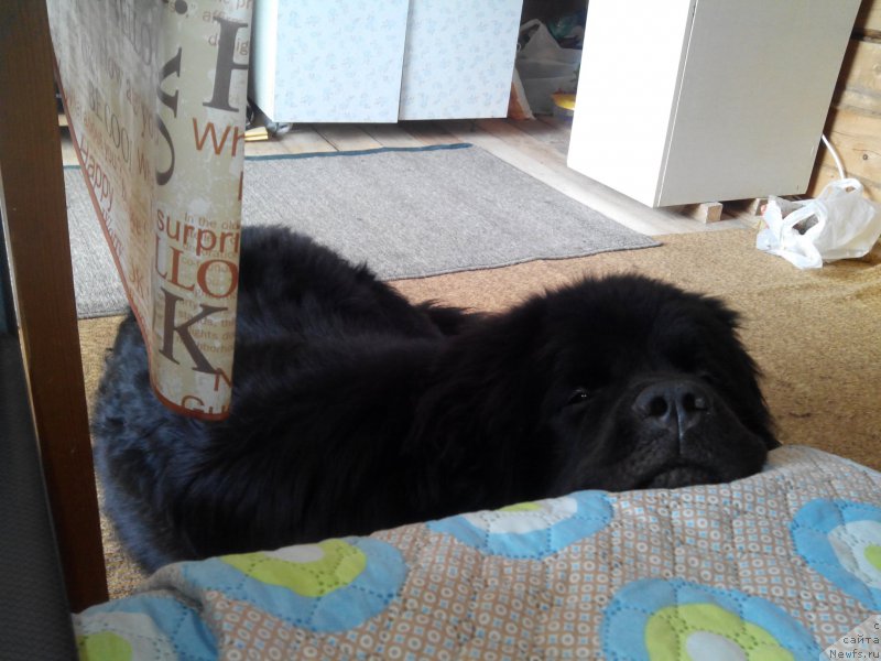 Фотография № 186286