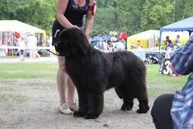 Фотография № 186290