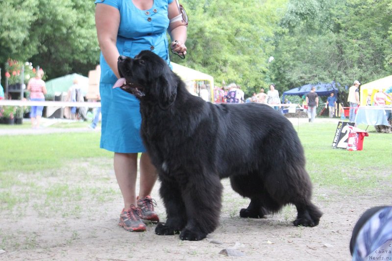 Фотография № 186291