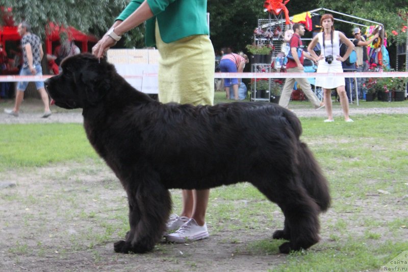 Фотография № 186294