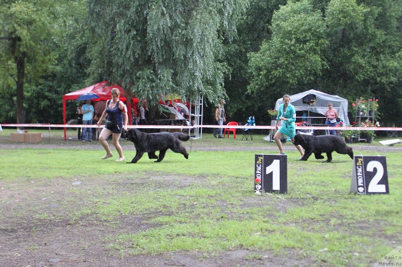 Фотография № 186309