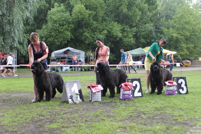 Фотография № 186310