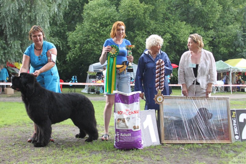 Фотография № 186311