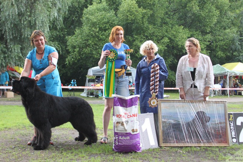 Фото: ньюфаундленд Thickish Newfoundland Waterfall Land's Only