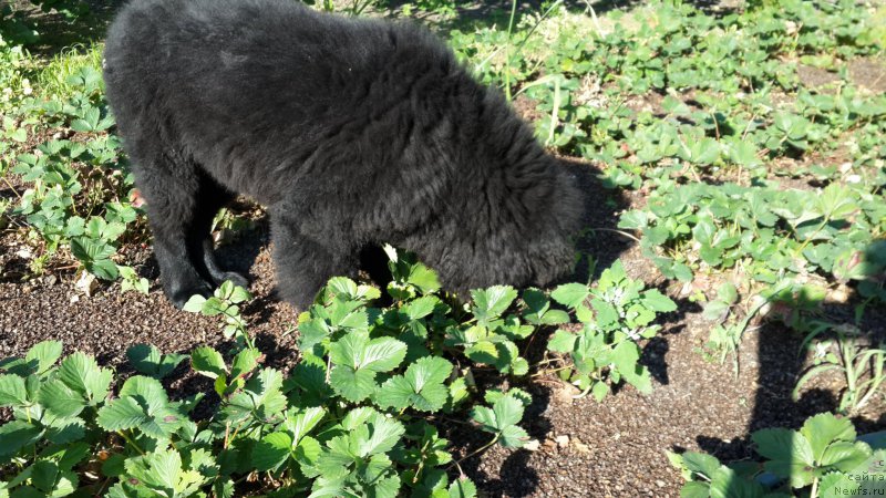 Фотография № 186316