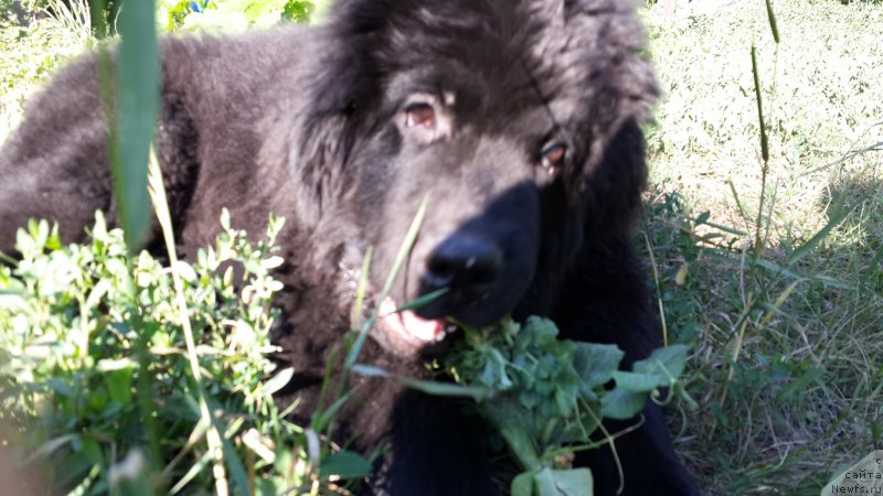 Фотография № 186317