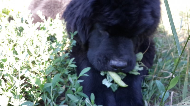 Фотография № 186318