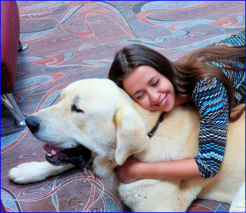 Фотография № 186329