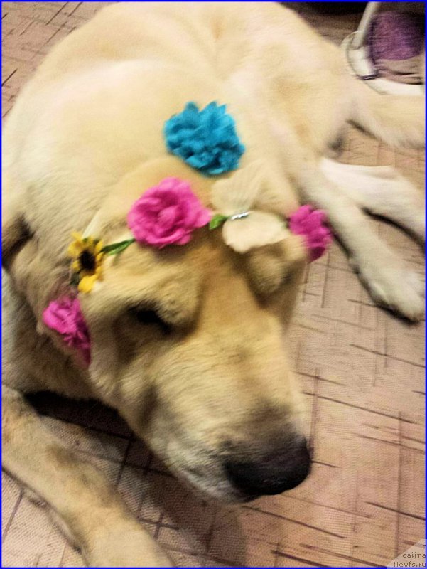 Фотография № 186330