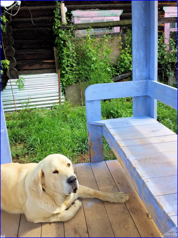 Фотография № 186333