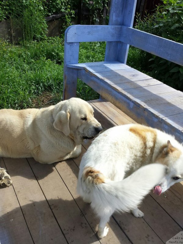 Фотография № 186334