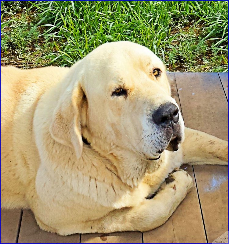 Фотография № 186335