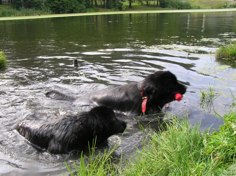 Фотография № 186341