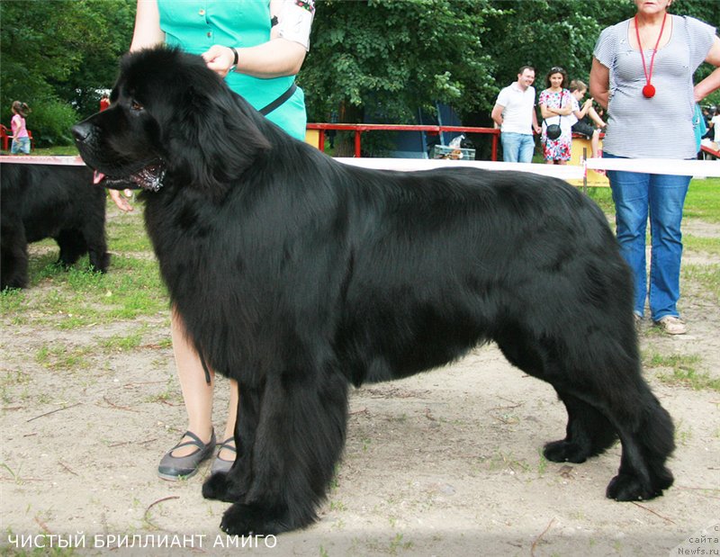 Фотография № 186344