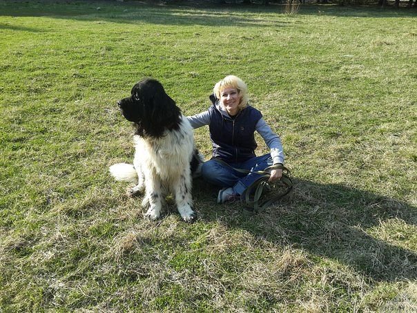 Фотография № 186366