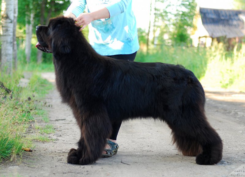 Фотография № 186369