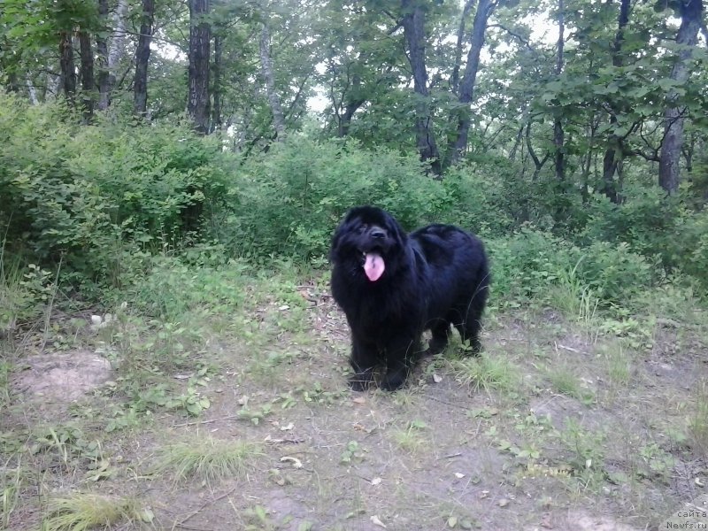 Фотография № 186410