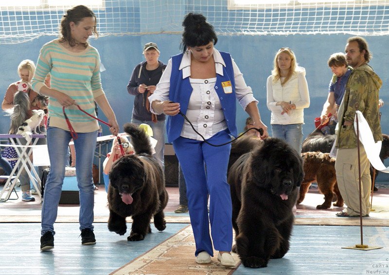 Фотография № 186419