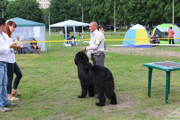 Фотография № 186424