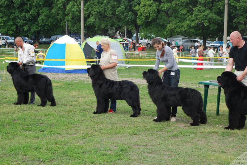 Фотография № 186425