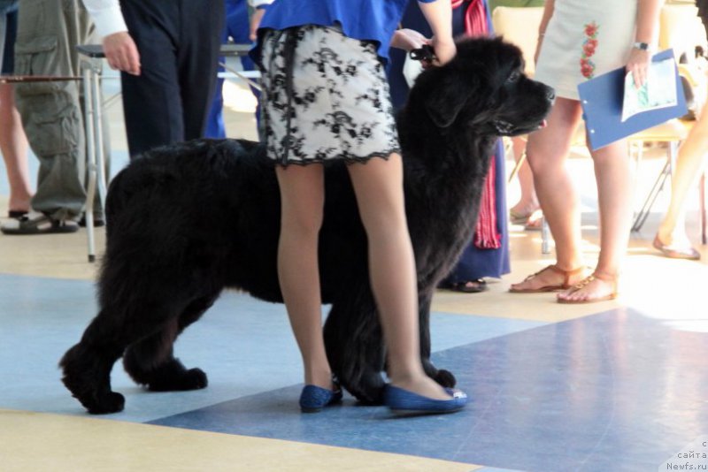 Фотография № 186430