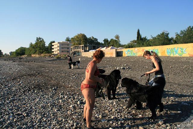 Фото: Аня, Юля, Фрей и Драйв, Инна, Айс вдали.