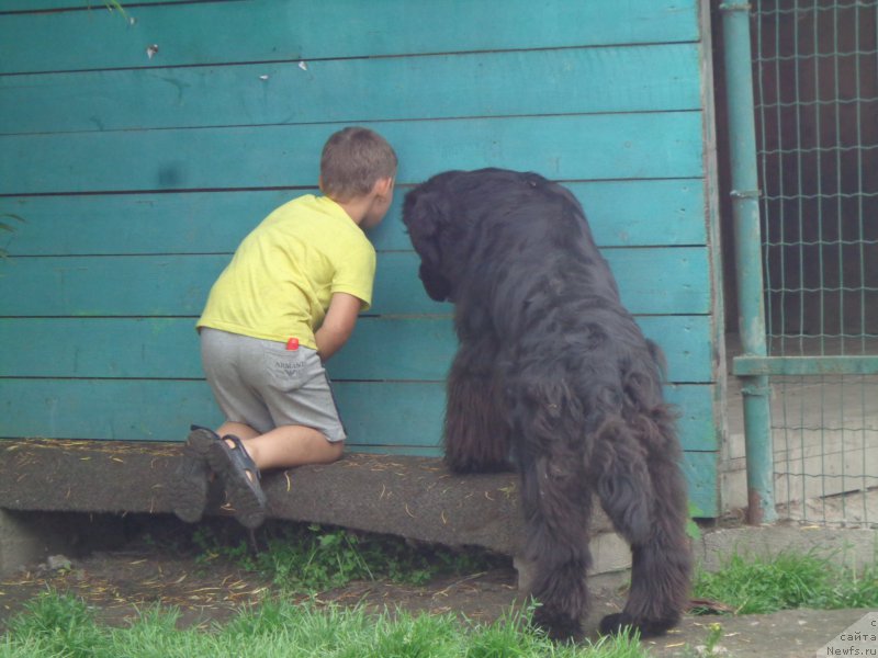 Фото: [d12853] и Олег!!
прятки)))