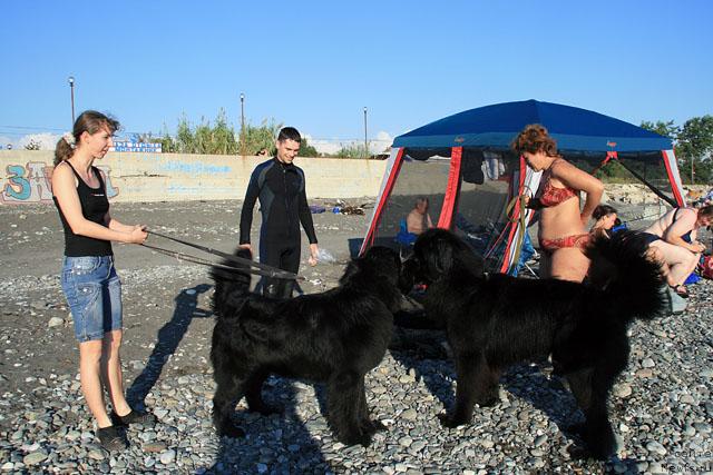 Фото: Юля, Валя, Аня, Драйв, Фрей