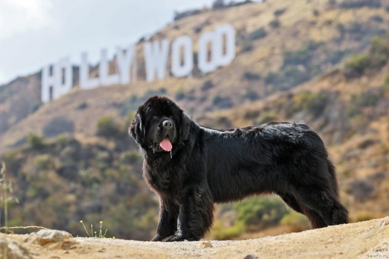 Фотография № 186526