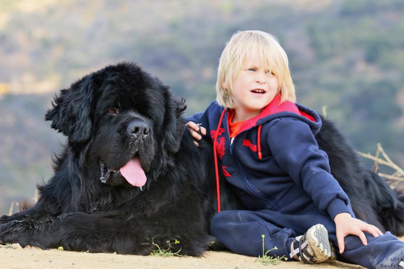 Фотография № 186527