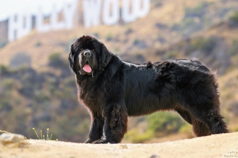 Фотография № 186530