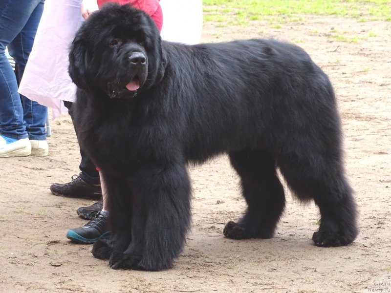 Фотография № 186544