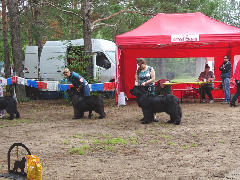 Фотография № 186548