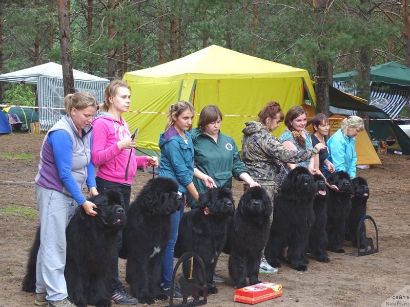 Фотография № 186551