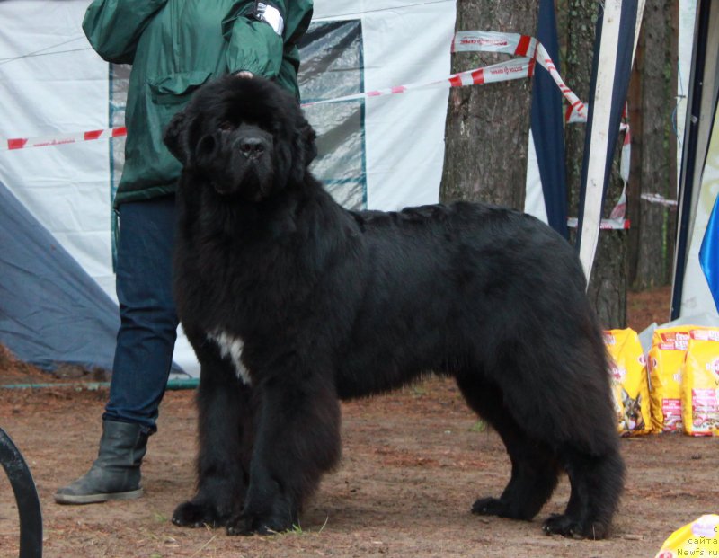 Фотография № 186556