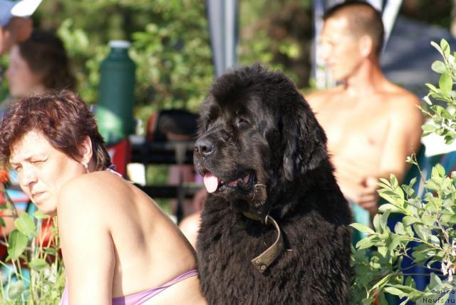 Фото: Elena Laponicina (Елена Лапоницина)