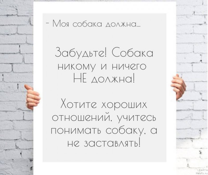 Фото: Igor' Grechishkin (Игорь Гречишкин)